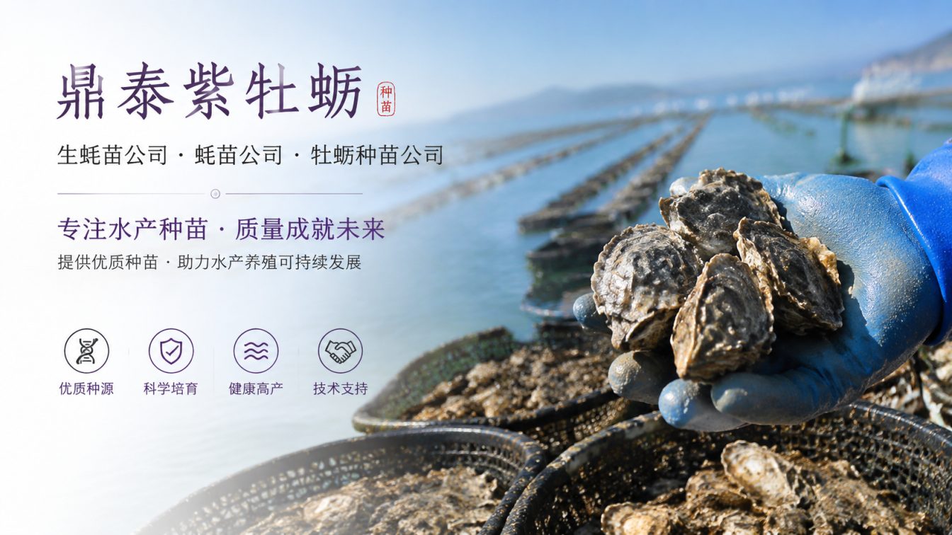 通辽为南北养殖场提供三倍体生蚝苗方案
